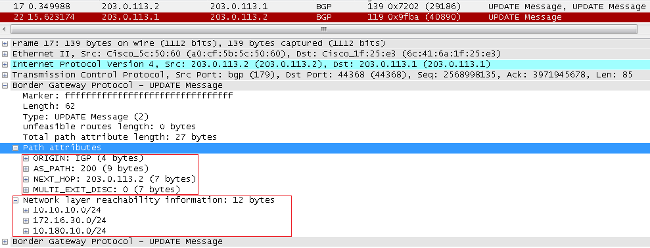 After Parameter Exchange, both Peers Exchange Routing Information with a BGP UPDATE Message