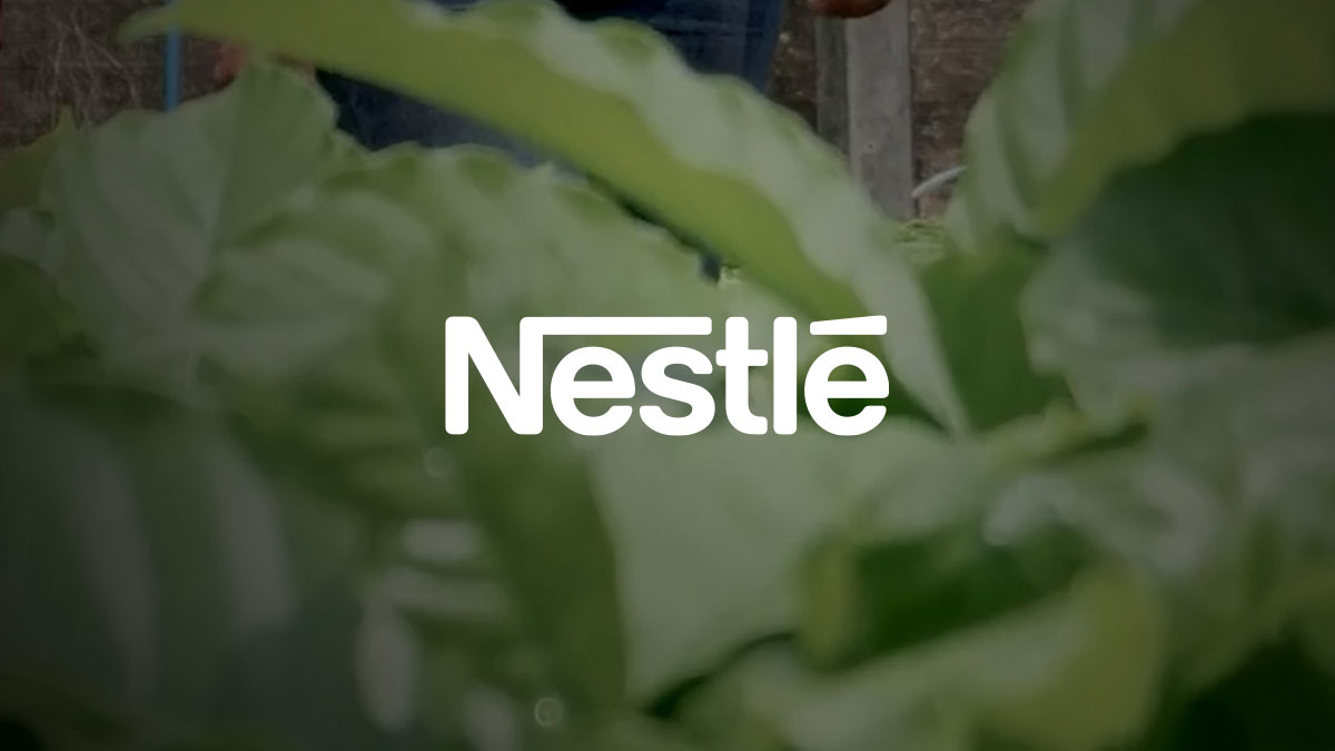 Le logo Nestlé centré sur des feuilles vertes floues.