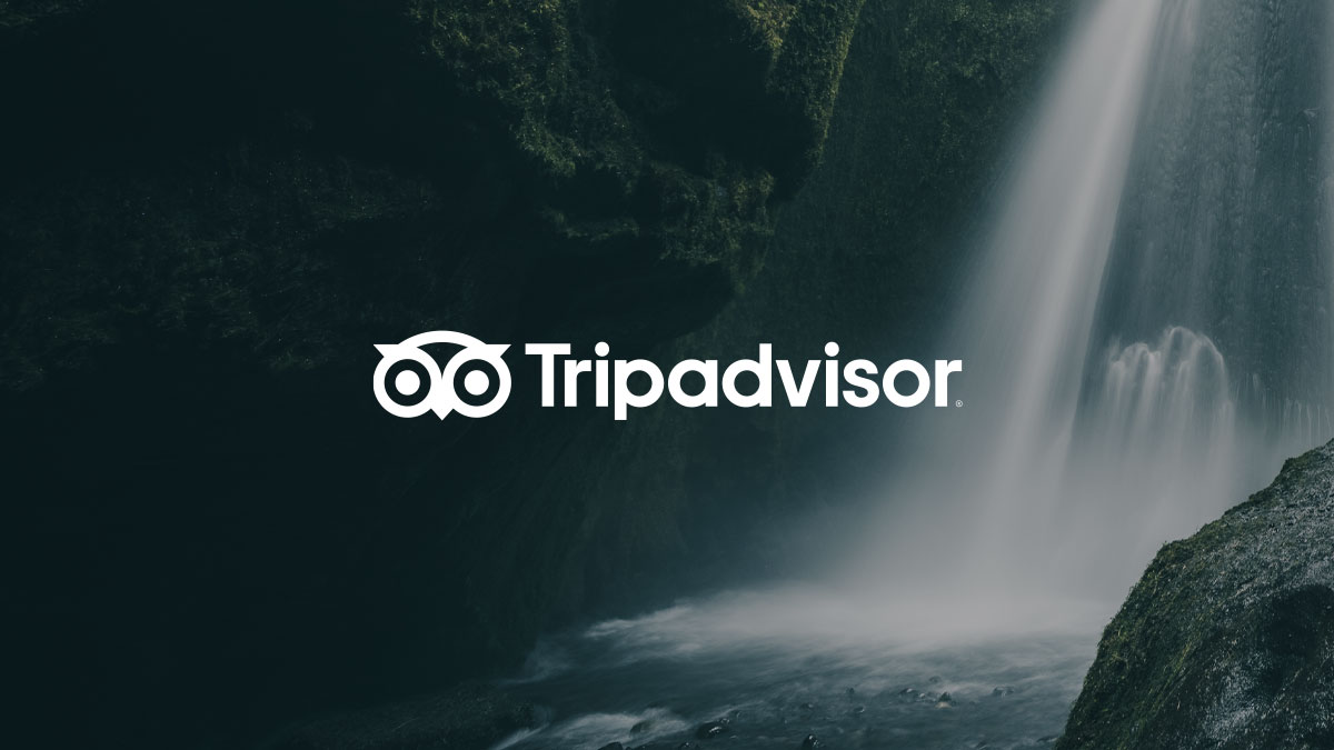 Le logo Tripadvisor avec une icône de hibou sur un arrière-plan de chute d’eau.