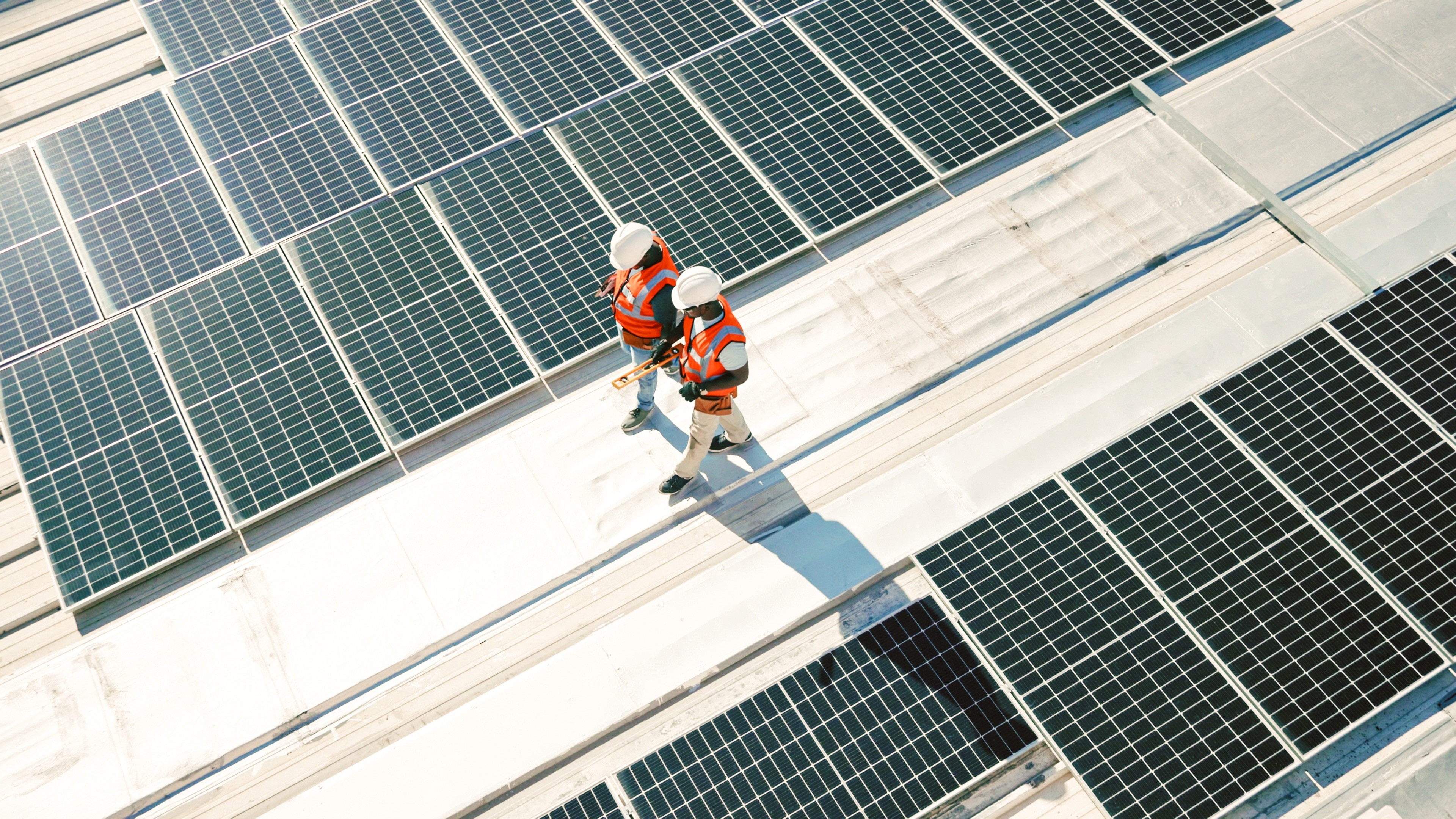 Workers walk alongside solar power panels